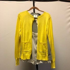 CaBi Sweater and Chemise